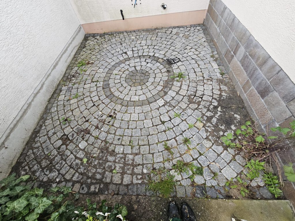 Die Grünlinge hms, Graupflege vorher